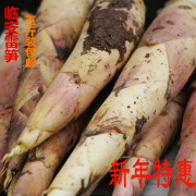 临安雷笋带壳新鲜春笋竹笋天目山现挖油焖笋腌笃鲜五斤装蔬菜