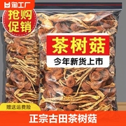 古田茶树菇农家新货香菇，干货特产茶新菌菇茶树菇煲汤净重