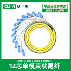 格兰束状圆头单模尾缆光纤跳线