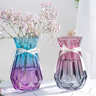 欧式创意玻璃花瓶透明满天星，干花网红花瓶家用插花客厅装饰摆件