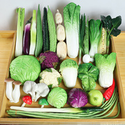 仿真蔬菜模型假生菜叶西兰花包菜水果装饰道具玩具果蔬早教儿童