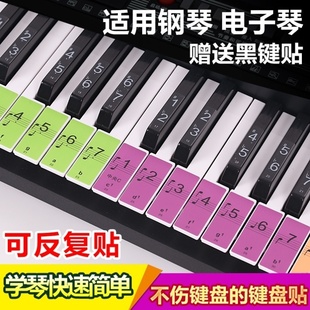 电子琴音符贴电子琴键盘彩色保护膜炫彩变色琴键贴雅马哈通用包边