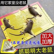 大老鼠贴强力粘鼠板捕鼠神器超强新型老鼠夹家用沾胶灭鼠抓室内