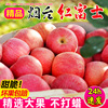 正宗山东烟台红富士苹果水果新鲜脆甜510斤冰糖心苹果丑