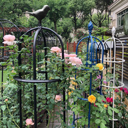 玫瑰爬藤架月季铁线莲阳台庭院，绿植铁艺花架户外攀爬欧式植物架子