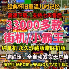 FC小霸王游戏PC电脑安卓手机TV版合金弹头拳皇热血合集街机模拟器