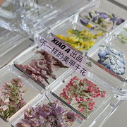 XIAOANAIL美甲干花饰品小众花瓣碎花叶子多色押花DIY指甲饰品贴片