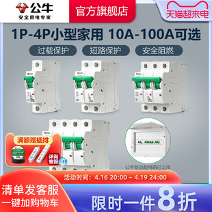 公牛插座断路器空气开关家用电闸1P2P/3P/4P63A/100A空开