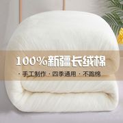 新疆棉花被春秋被子纯棉花被褥，冬天棉絮垫被棉被，冬被加厚保暖被芯