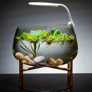 创意玻璃鱼缸客厅小型圆形金鱼缸(金鱼缸，)水族箱乌龟，缸桌面懒人大号水培缸