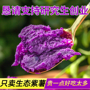 紫薯新鲜地瓜紫心蜜薯现挖沙地，小番薯山芋农家自种蔬菜5斤