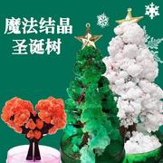 纸树开花圣诞树神奇浇水生长创意，魔法结晶树儿童时玩具圣诞节礼物
