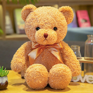 可爱泰迪熊玩偶小熊毛绒玩具正版抱睡公仔娃娃儿童生日礼物抱抱熊