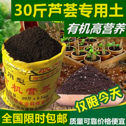 芦荟专用营养土有机种菜土壤家用多肉绿萝草炭土通用型花土泥土肥