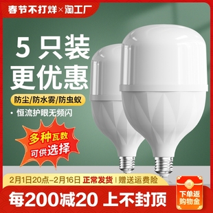 超亮节能灯泡led照明家用电螺口，螺旋卡口e27小球泡白光100瓦光源