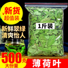 薄荷叶干薄荷茶500g新货食用新鲜泡茶烘焙酒水调酒清凉无特级野生