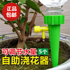 直供5个自动浇花器可调节水量，滴水器植物，浇水器懒人淋花家用渗水