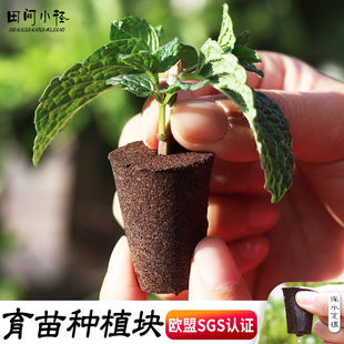 无土栽培育苗块塑料，育苗盒水培基质植物，播种盒扦插神器穴盘保温箱