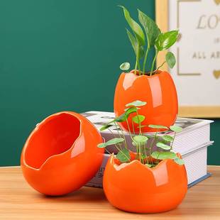 创意绿萝水培花瓶容器鲜花植物插花花器水养花盆器皿客厅装饰摆件