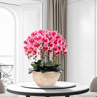 和家蝴蝶兰仿真花套装塑料花艺绢花假花盆栽客厅装饰餐桌干花花束