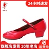 红舞鞋广场跳舞网面夏季透气女式增高白色女士现代舞鞋10117