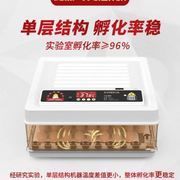 。水床孵化器小型家用小鸡鸭鹅蛋孵化机全自动孵蛋器智能迷你孵蛋