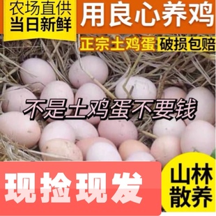 40枚正宗九华山土鸡蛋农家散养柴鸡蛋新鲜宝宝孕妇蛋