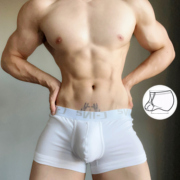 cin男士吊环平角内裤系带提睾款体育，生健身u凸显大纯棉低腰黑白灰