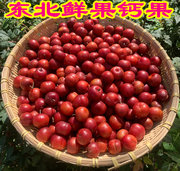 钙果欧李新鲜东北水果自产自销欧梨新鲜采摘新鲜欧粒鲜果