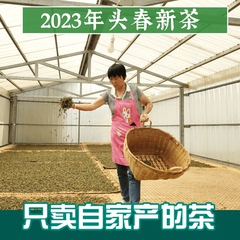 古树纯料生茶普洱2022年头春茶