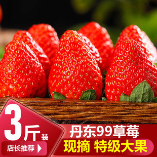 丹东99草莓九九草莓草莓新鲜草莓丹东水果红颜奶油甜草莓大果