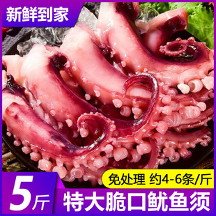 脆口鱿鱼须新鲜冷冻大章鱼须足八爪鱼，烧烤火锅商用半成品海鲜水产