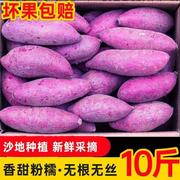 正宗越南进口品种奶油珍珠小紫薯 新鲜沙地红番薯10斤整箱装地瓜1