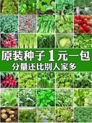 四季蔬菜种子香菜菠菜青菜葱，油麦菜白菜，萝卜籽黄瓜南方生菜籽种孑
