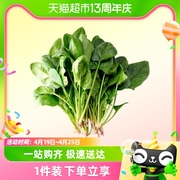 有机菠菜新鲜蔬菜叶菜榨汁食材配送辅食小青菜榨汁火锅1500g