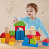 hape40粒彩虹榉木积木，益智拼装玩具儿童1-2-3岁婴儿宝宝木制早教
