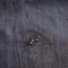 梵树For handmade-《诺丁山》s925纯银 温和光亮的白玉髓耳钉