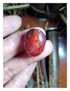 凝血红红玉籽料原石，古籍记载艳若鸡冠，新疆和田玉籽料珠宝玉器