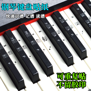 琴键贴纸钢琴电子琴手卷通用五线谱自学入门识谱记谱读谱贴膜配件