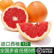 新鲜西柚1只 红心葡萄柚子当季时令水果 5件