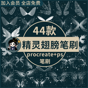 procreate笔刷白色梦幻发光仙女精灵翅膀蜻蜓蝴蝶翅膀ps笔刷素材