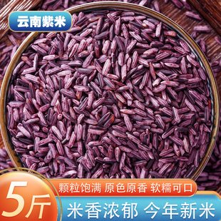 云南紫米5斤 农家自产紫糯米血糯米黑糯米菠萝饭原料五谷杂粮粗粮
