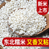 当季新圆糯米5斤新鲜东北农家自产食用包粽子专用白江米