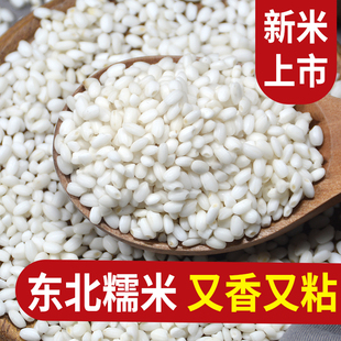 当季新圆糯米5斤新鲜东北农家自产食用包粽子专用白江米(白江米)