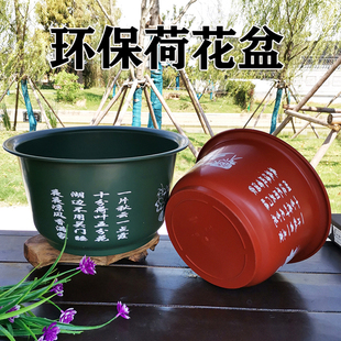 庭院荷花盆莲花盆树脂，塑料水培大号专用无孔花盆特大睡莲碗莲花盆