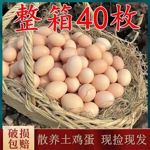 40枚正宗新鲜土鸡蛋，农村散养20枚柴鸡蛋农家，孕妇笨鸡蛋整箱