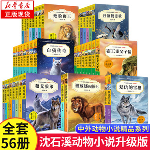 沈石溪(沈石溪)动物小说全集全套正版三四五六年级，小学生课外阅读书籍狼王梦儿童文学读物，故事书海豚之歌中外狼兄狼弟绝境血斑羚飞渡