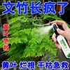 猛窜新芽文竹专用营养液生根发芽防黄叶一喷绿盆栽专用液体肥