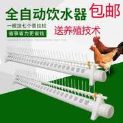 新型鸡饮水器自动喂水鸡鸭鹅养鸡自动饮水槽鸡用家禽