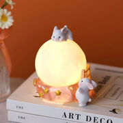 木丁丁月球兔小夜灯创意可爱摆件卧室床头桌面装饰灯送儿童生日礼